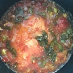 Savory Chicken with Summer Vegetables Recipe Image